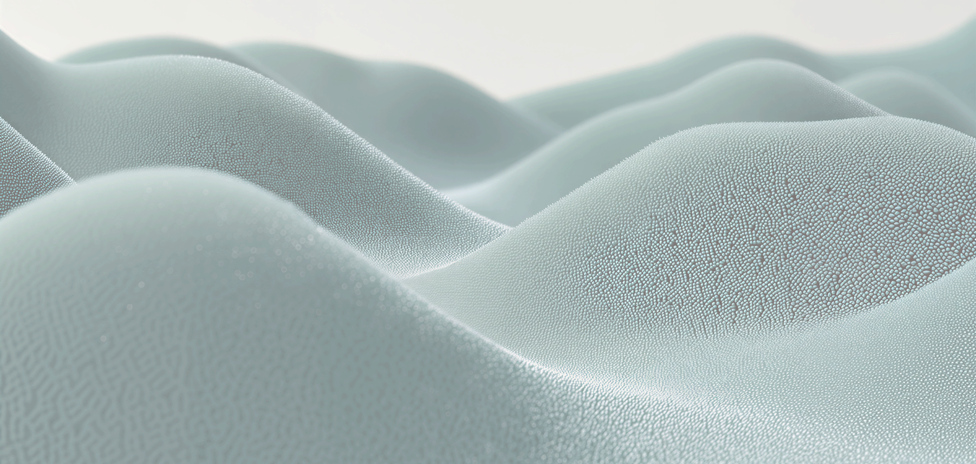 Logo, Palette, Type, Voice: The Anatomy of a Brand